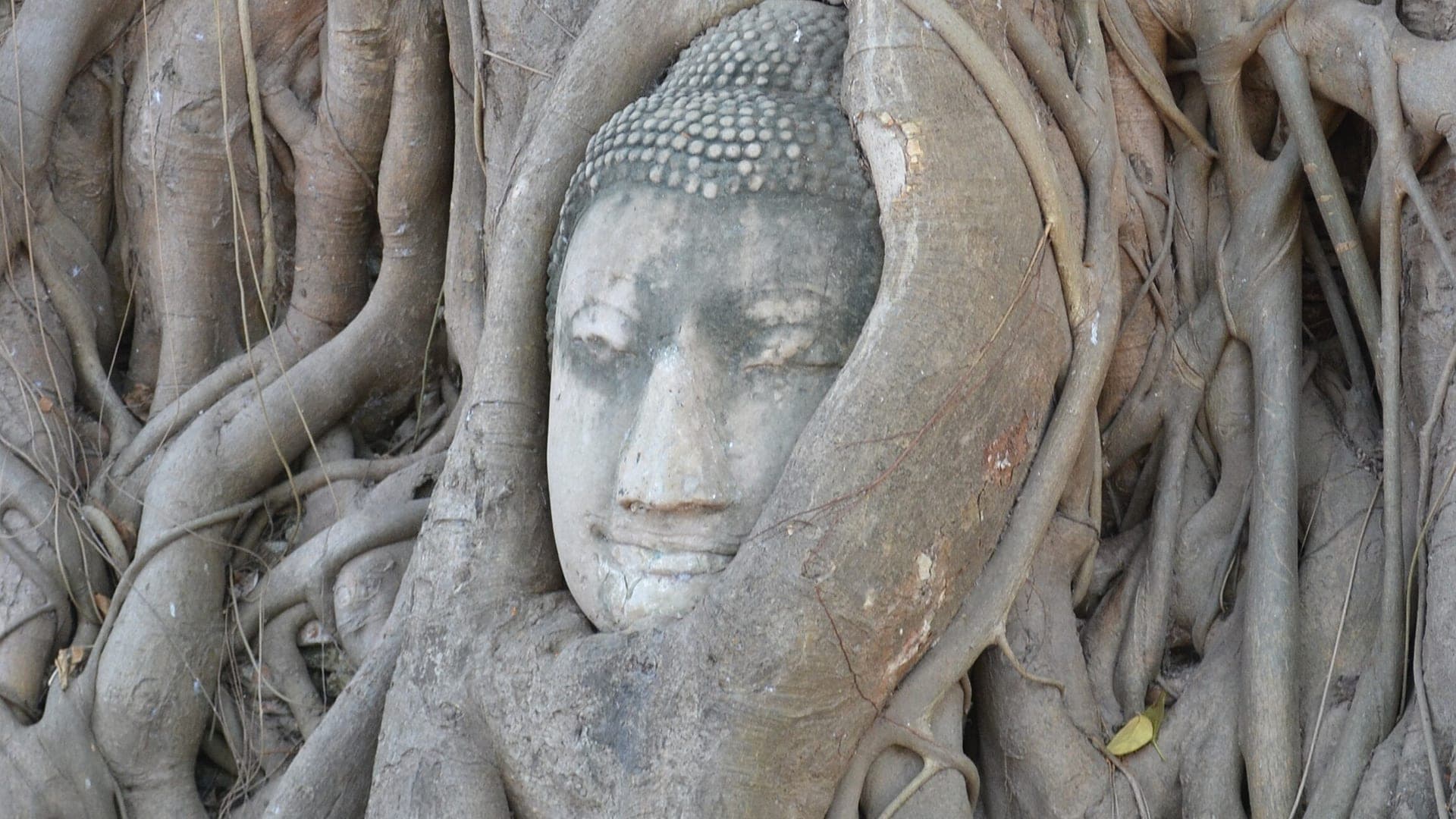 Ayutthaya