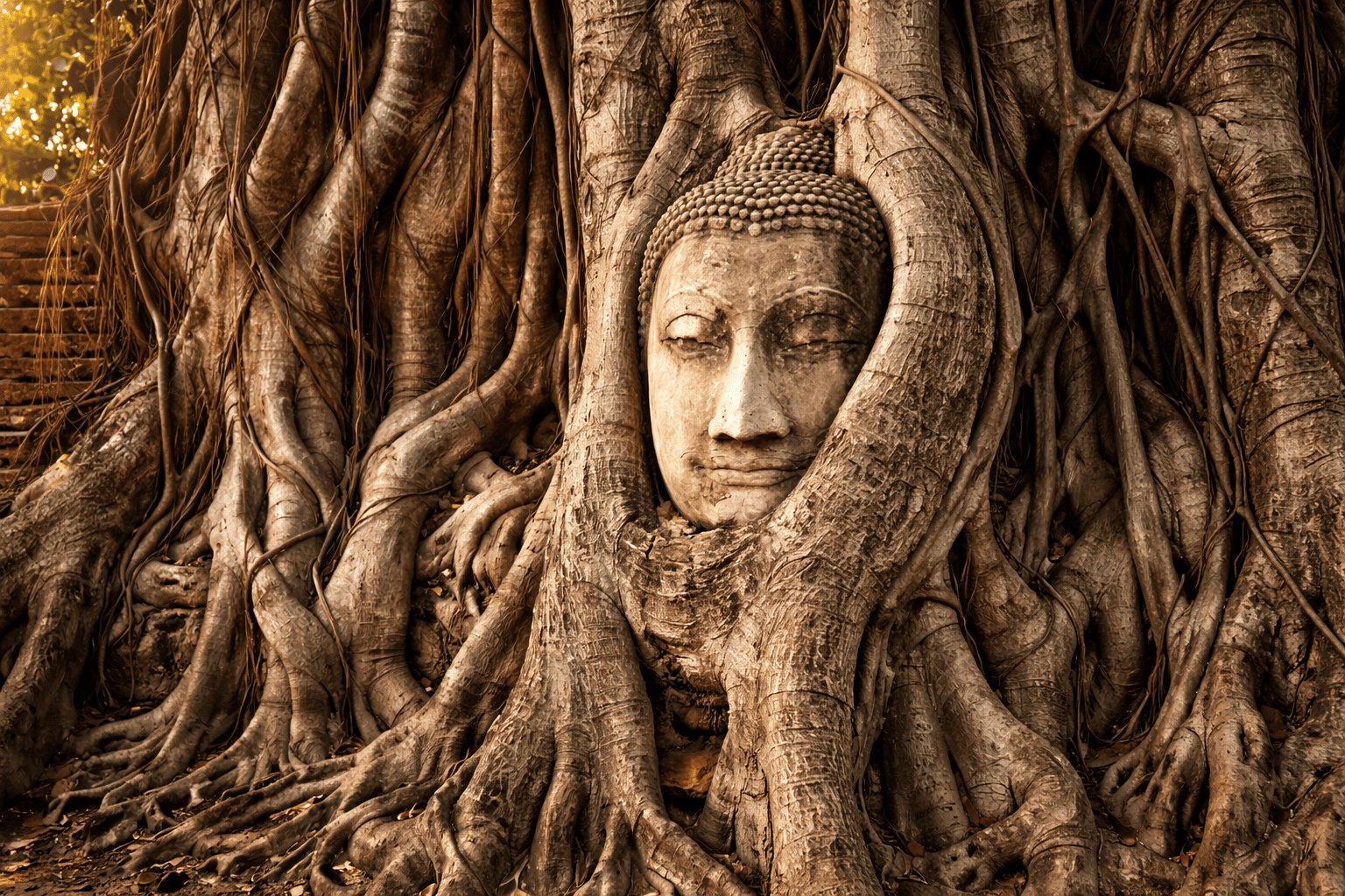 Ayutthaya